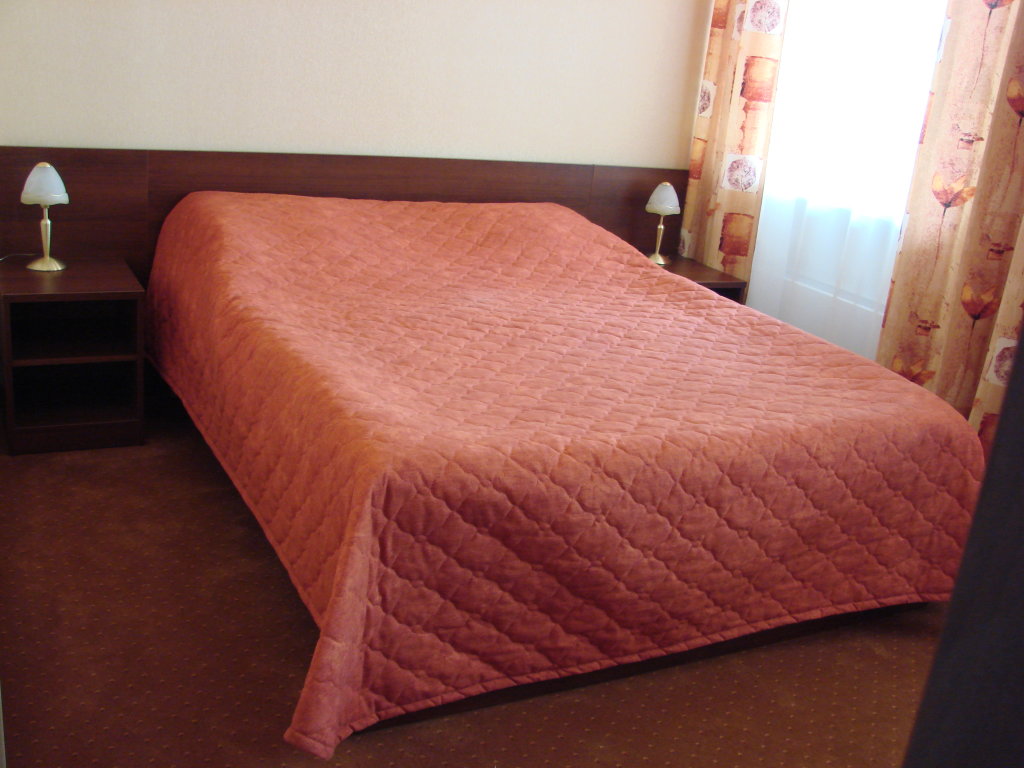 Standard Doppel Zimmer Gostinitsa Park Hotel