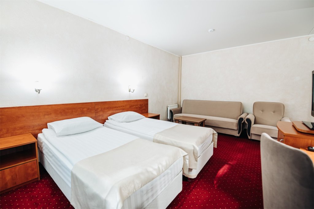 Standard with Sofa Double room with balcony LESNOY Park Hotel