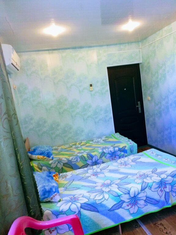 Économie double chambre Avec vue Solov'inaya Trel Guest house