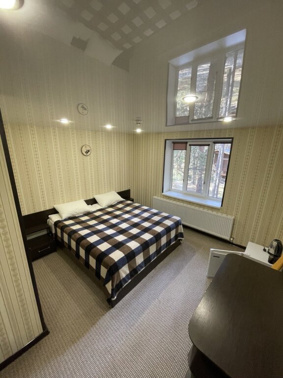 Standard Doppel Zimmer mit Blick Metelitsa Mini-Hotel