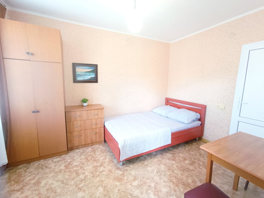 Standard Doppel Zimmer mit Blick Na Ulitse Krasnoarmeyskaya 56 Guest House