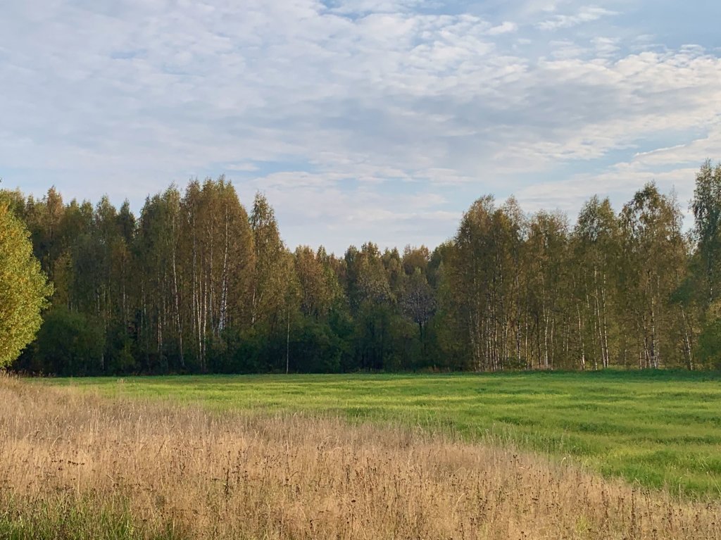 Эко хутор ряйсяля. Хутор Ряйсяля. Дачный поселок Райский. Эко Хутор. Экохутор Орел.