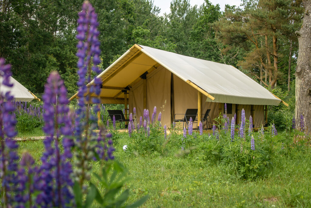 Polyana Glamping Калининград