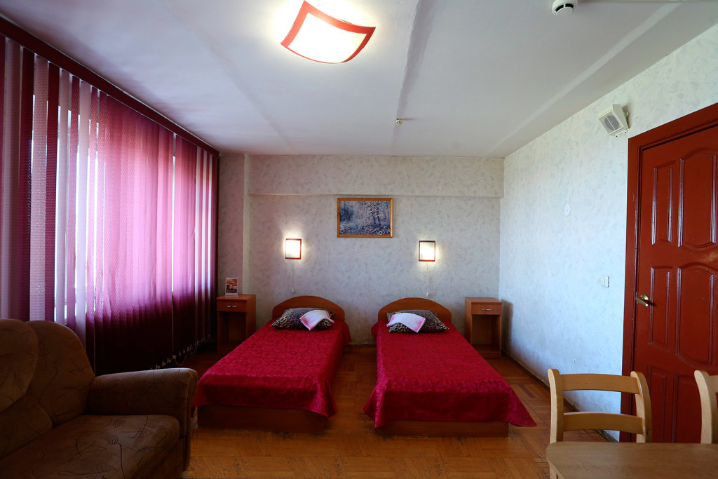Habitación doble Estándar con vista Hotel Rodina