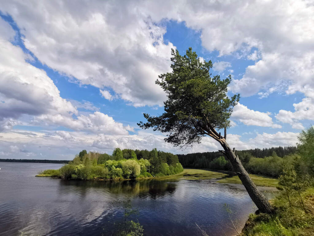 Отель Точка на карте Лодейное Поле 3* в Лодейное Поле, Ленинградская  область. Забронировать Отель Точка на карте Лодейное Поле 3*