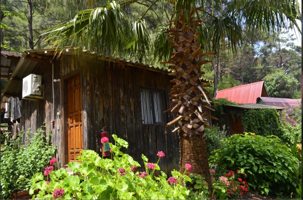 Standard Doppel Zimmer mit Blick Olympos Mercan Bungalow