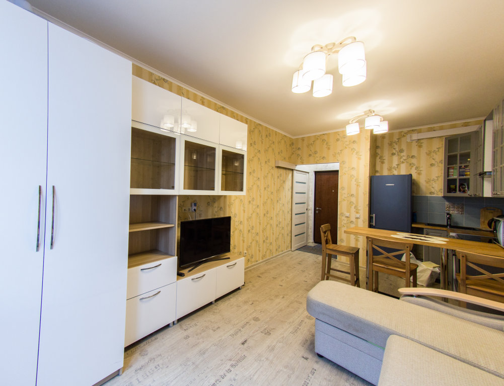 Standard double appartement Apartamenty Arendapartment Graf Orlov Studio Sofa Bed