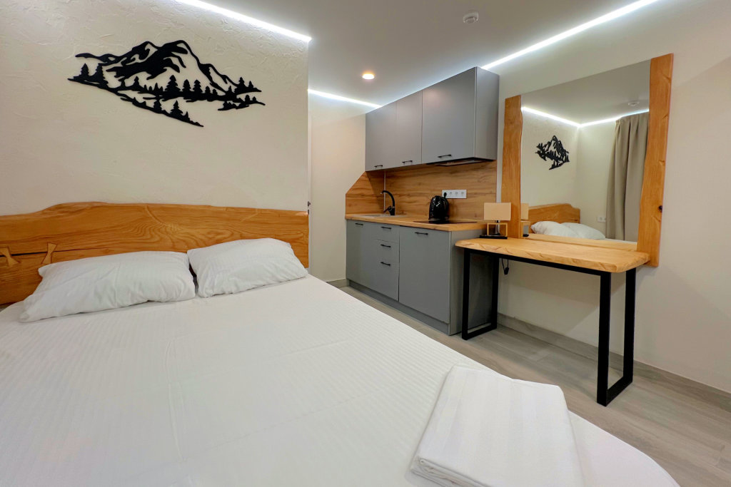 Standard Double room Bergamo Eco Hotel
