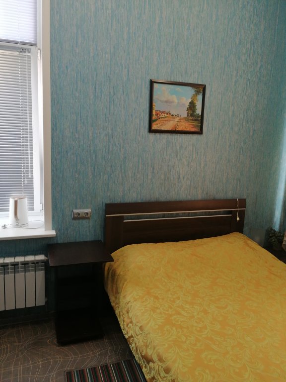 Camera doppia Standard con vista Ostrovskaya Inn
