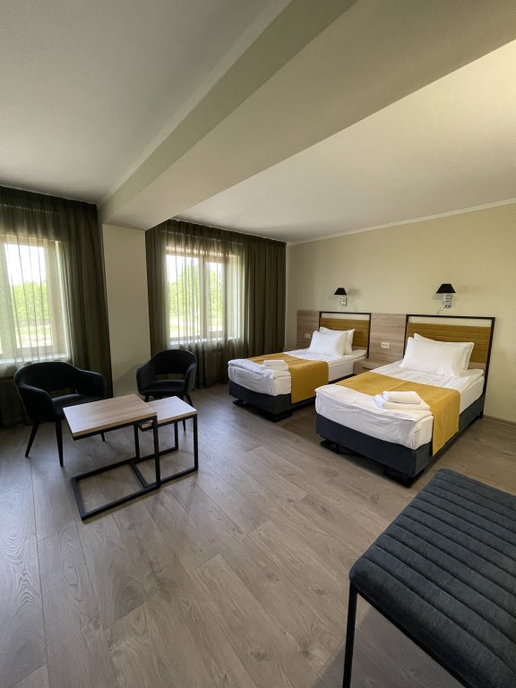 Comfort Double room (Loft building) Hotel Arsenev