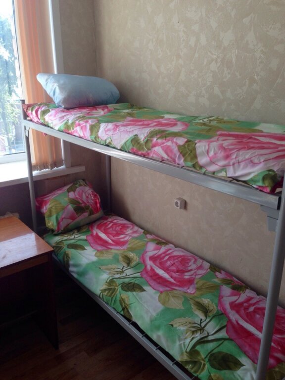 Cama en dormitorio compartido con vista Na Moskovskom Hostel