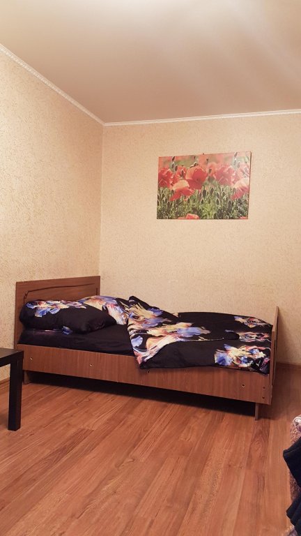 Apartment 1 Schlafzimmer mit Stadtblick L.v.hotels Na Dmitriya Ulyyanova 13 Flat