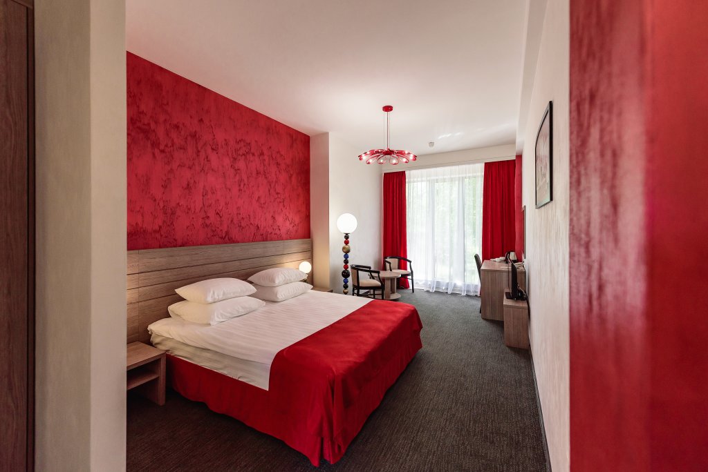 Confort double chambre Avec vue Hotel Aristokrat