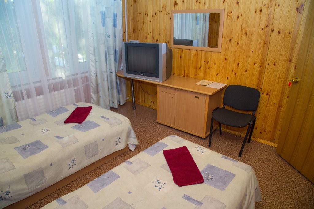 Economy Double room Dubrovskij Hostel