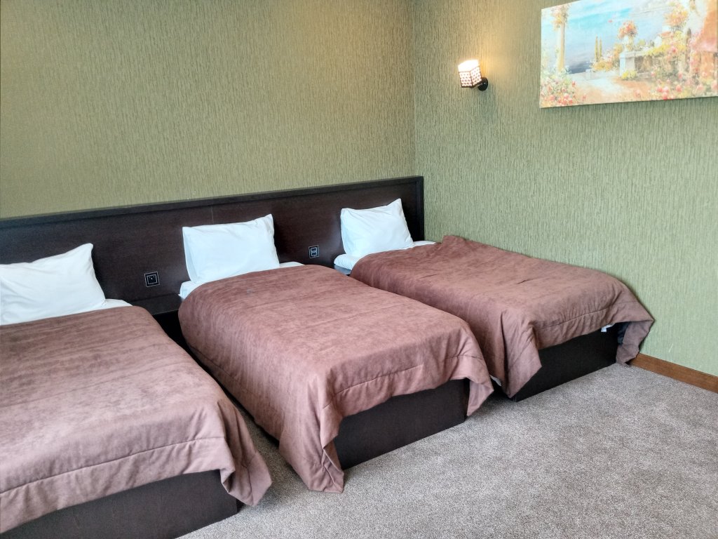 Standard Triple room with view Caspian Business Hotel & SPA