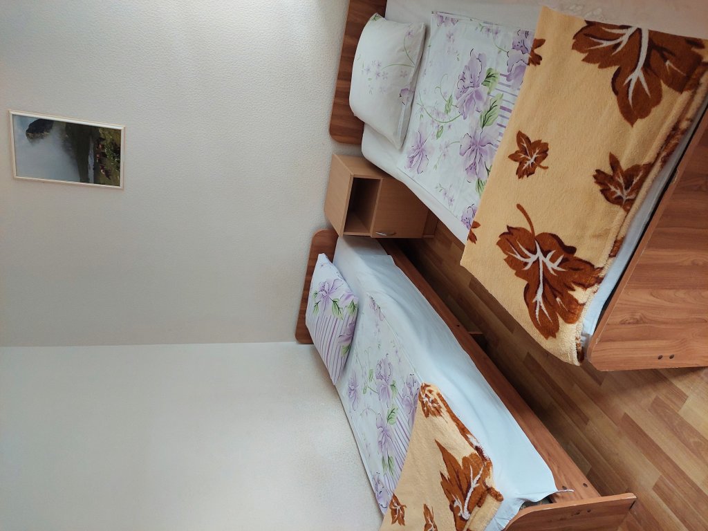 Economy Double room with view Bely Lotos Guest House