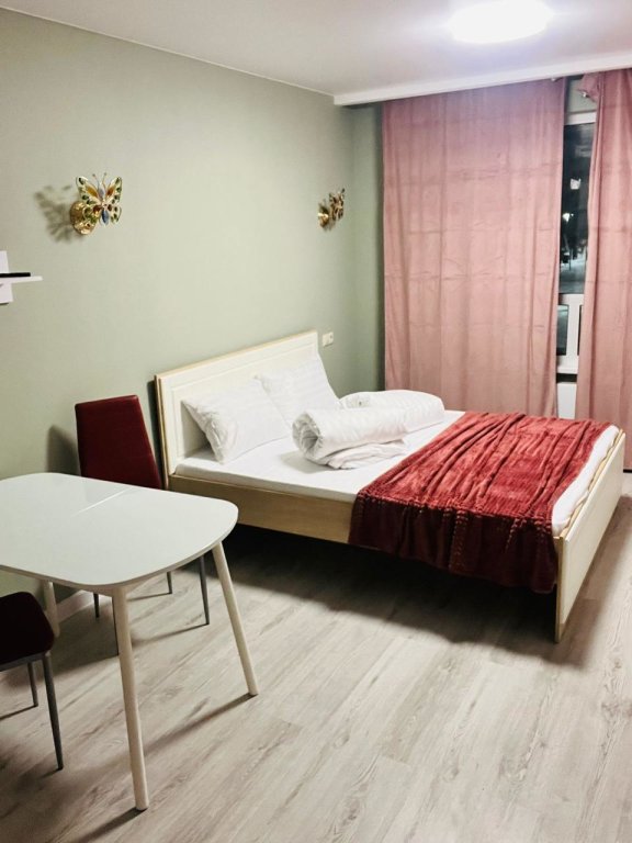 Apartment Novaya uyutnaya Flat