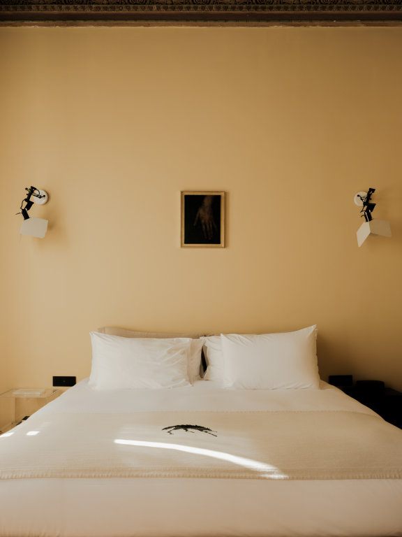 Двухместный люкс Гиена с видом на город Бутик-отель Рихтер Участник Design Hotels