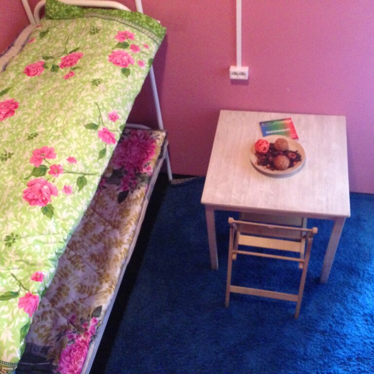 Кровать в общем номере Red Star Hostel
