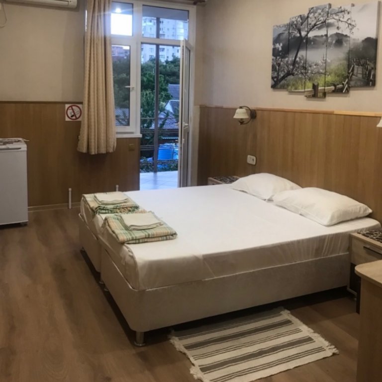 Standard Doppel Zimmer mit Balkon MiniHoll Gelendzhik Kolhoznaya D 34 Guest House