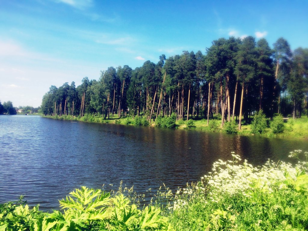 Кохма солнечный берег фото