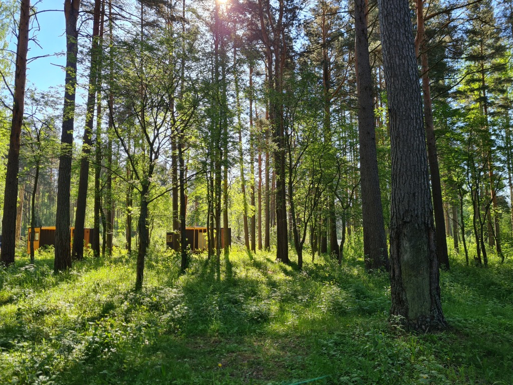 База Отдыха Kottila Village в Лосево, Ленинградская область. Забронировать База  Отдыха Kottila Village