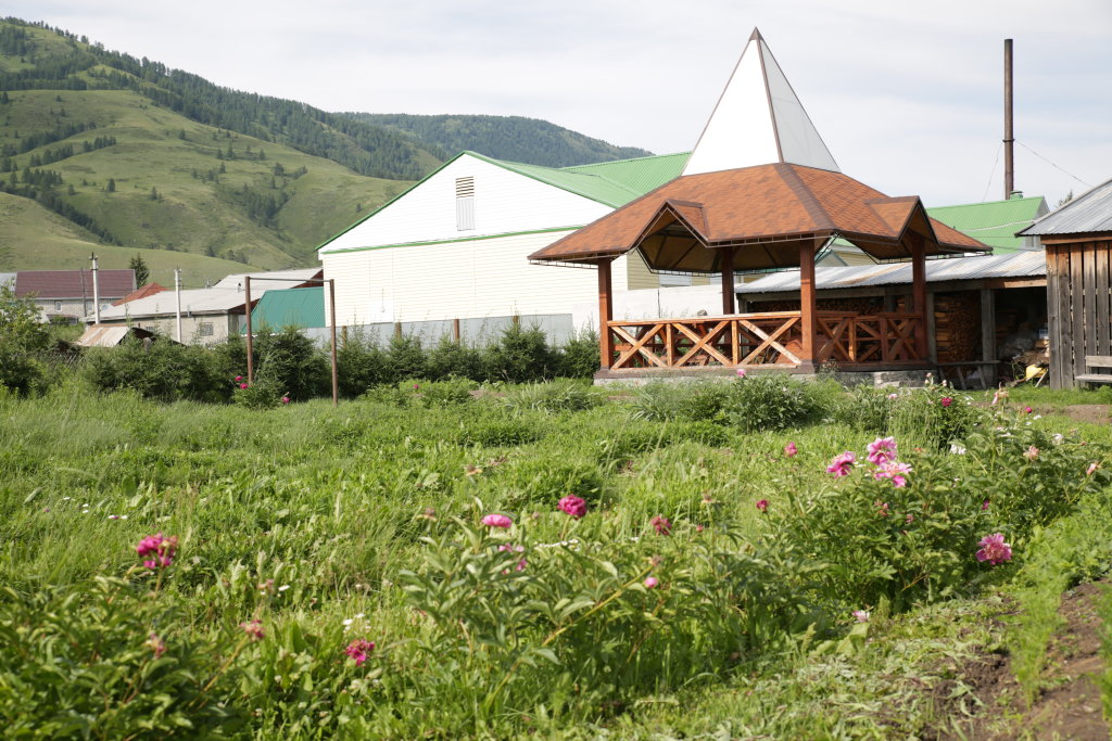 Усть кокса Белуха Алтай