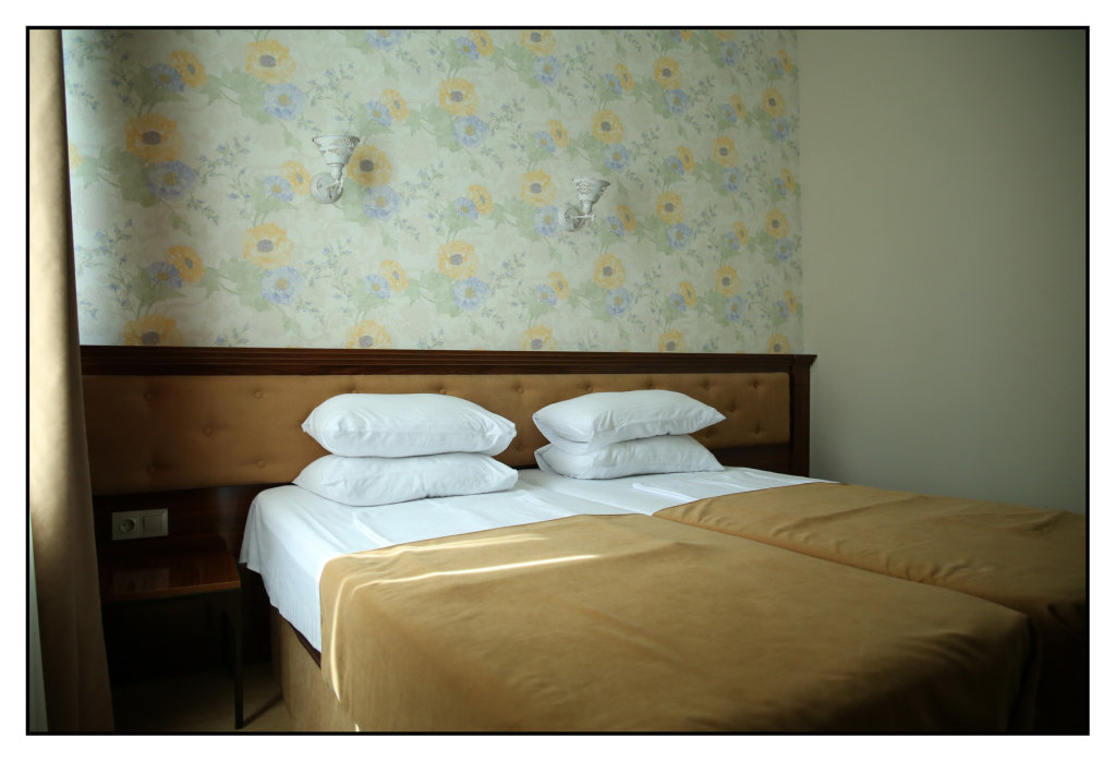 Standard Doppel Zimmer mit Blick Park Hotel Tskaltubo