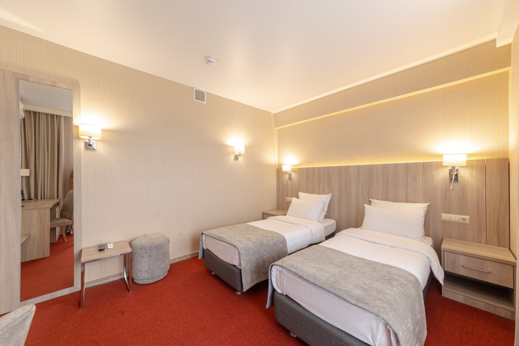 Standard Double room Sindika Spa-Hotel