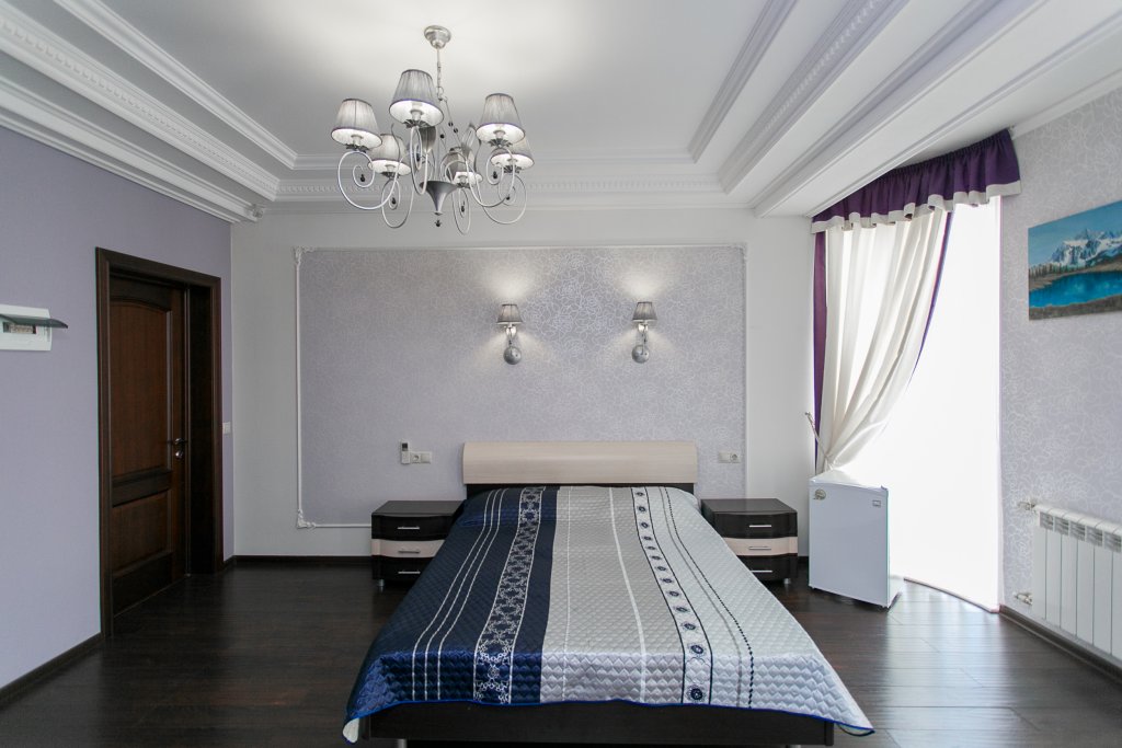 Standard Double room with city view Mini-hotel Rusalina