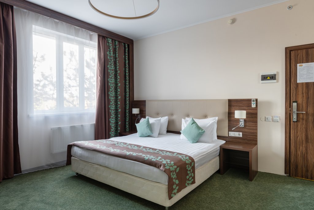 Deluxe double chambre Vue sur la ville Vnukovo Green Palace Hotel