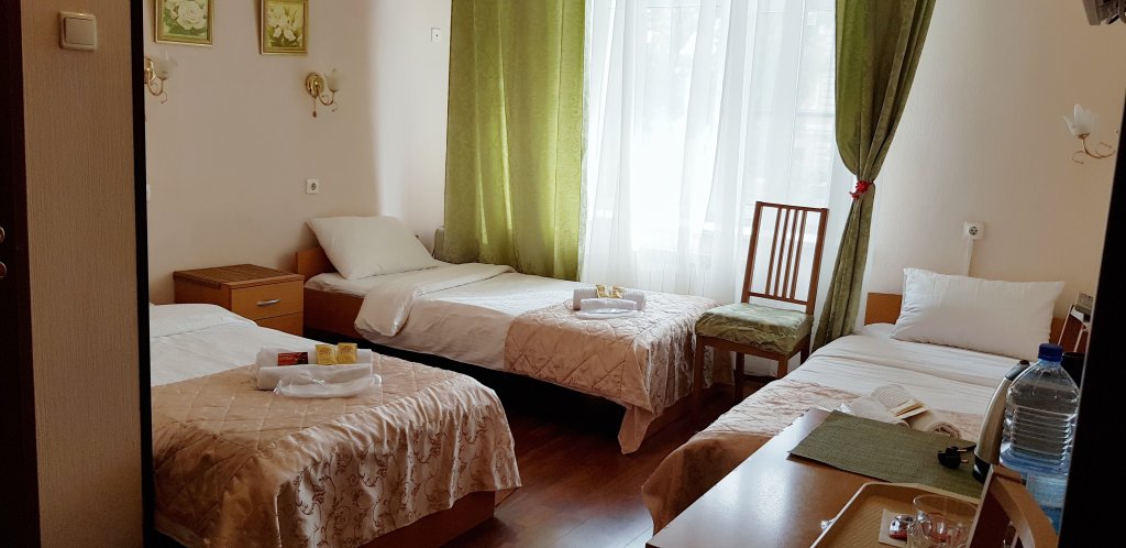 Standard triple chambre Avec vue Guest house GRANT Na Ligovskom 23