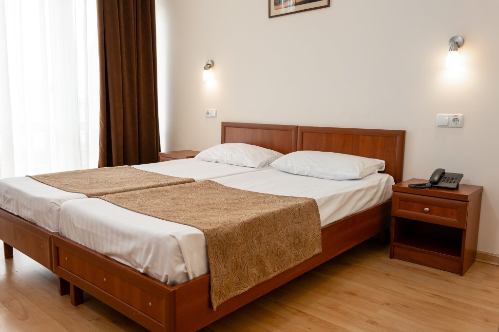 Comfort Double room Veselyij Hotej Hotel