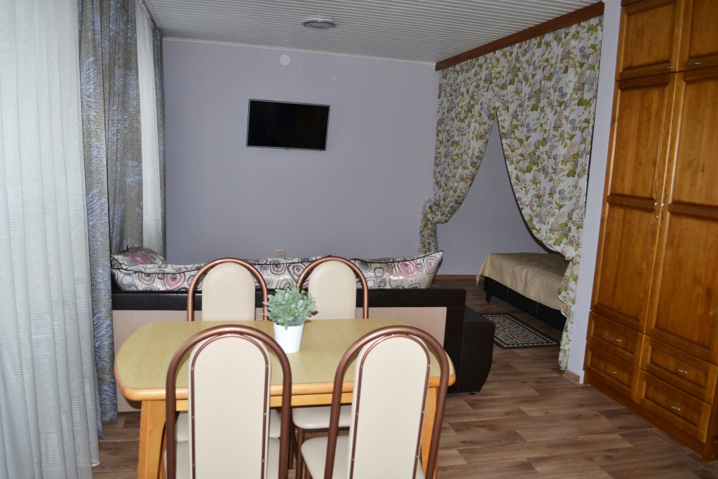 Studio Apartment con balcón Apartamenty na Voykova 23