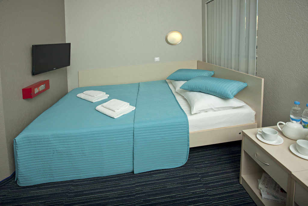 Standard Double room Vozdushnyij Ekspress Sheremet'evo (terminal aeroekcpress)Mini-Hotel