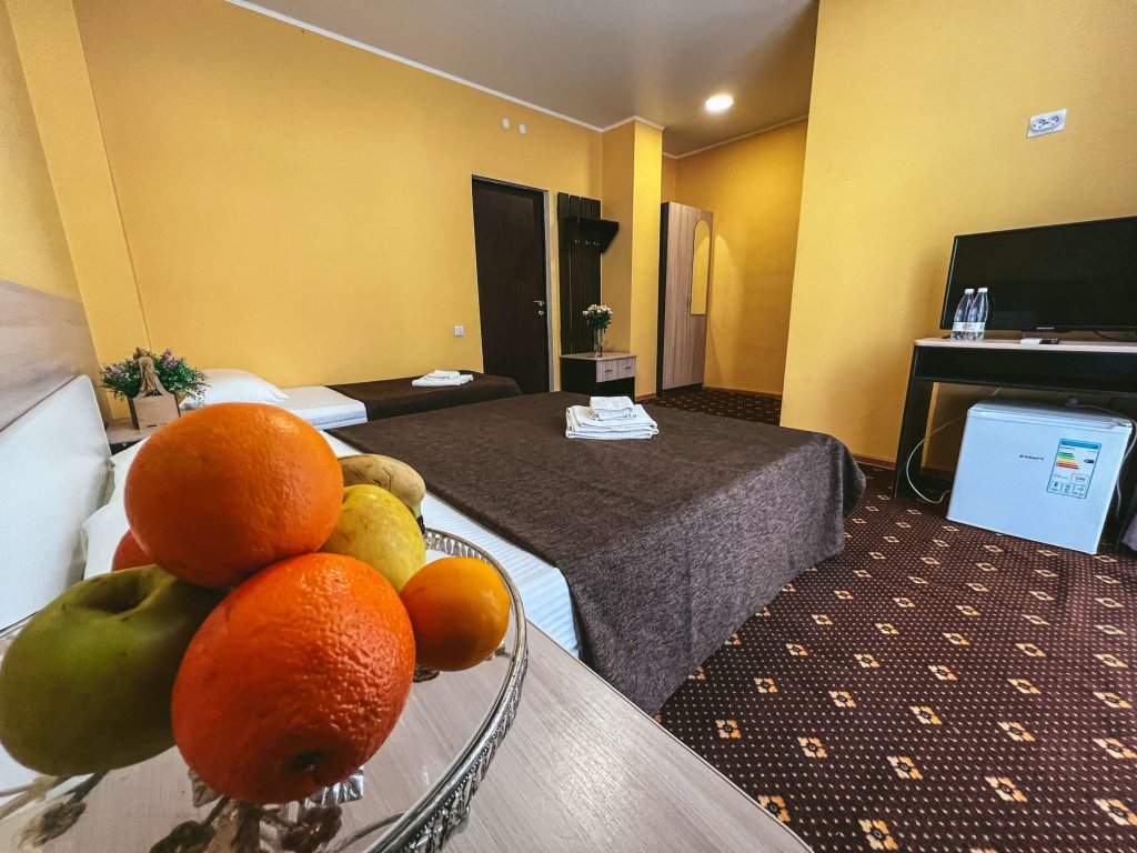 Standard room Yuzhny Hotel