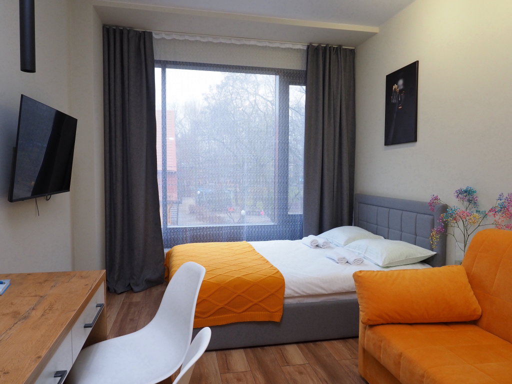 Двухместные апартаменты Comfort с видом на город Апартаменты MOOV Apart Svetlogorsk