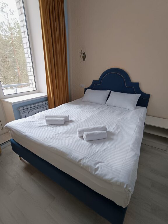 Économie double chambre Vue sur le parc Sosnovy Bor Hotel