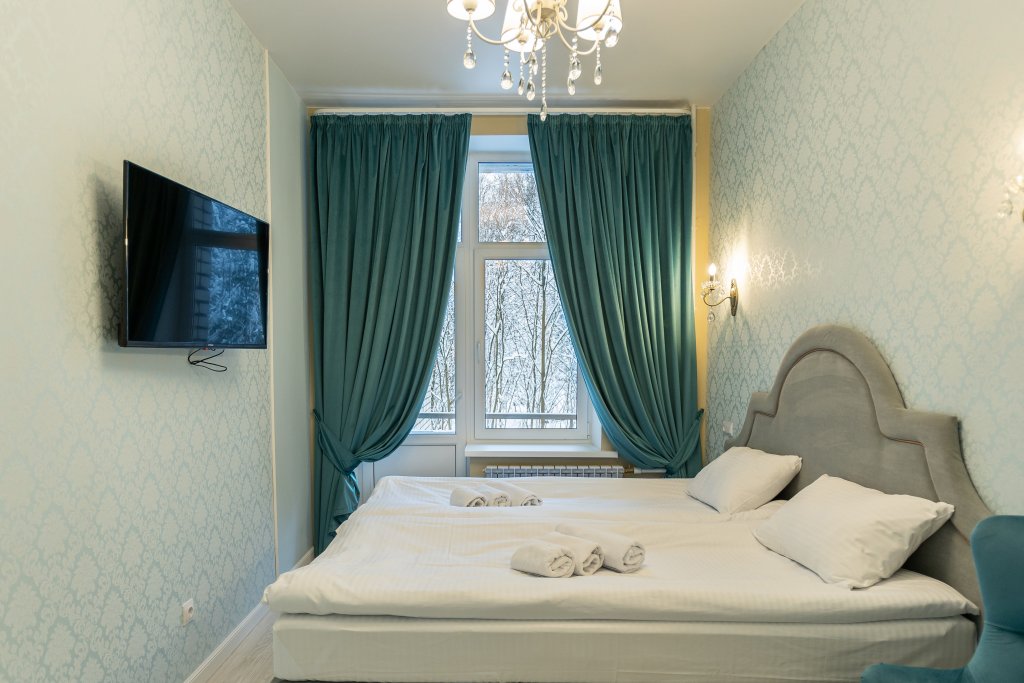 Standard double chambre Sosnovy Bor Hotel