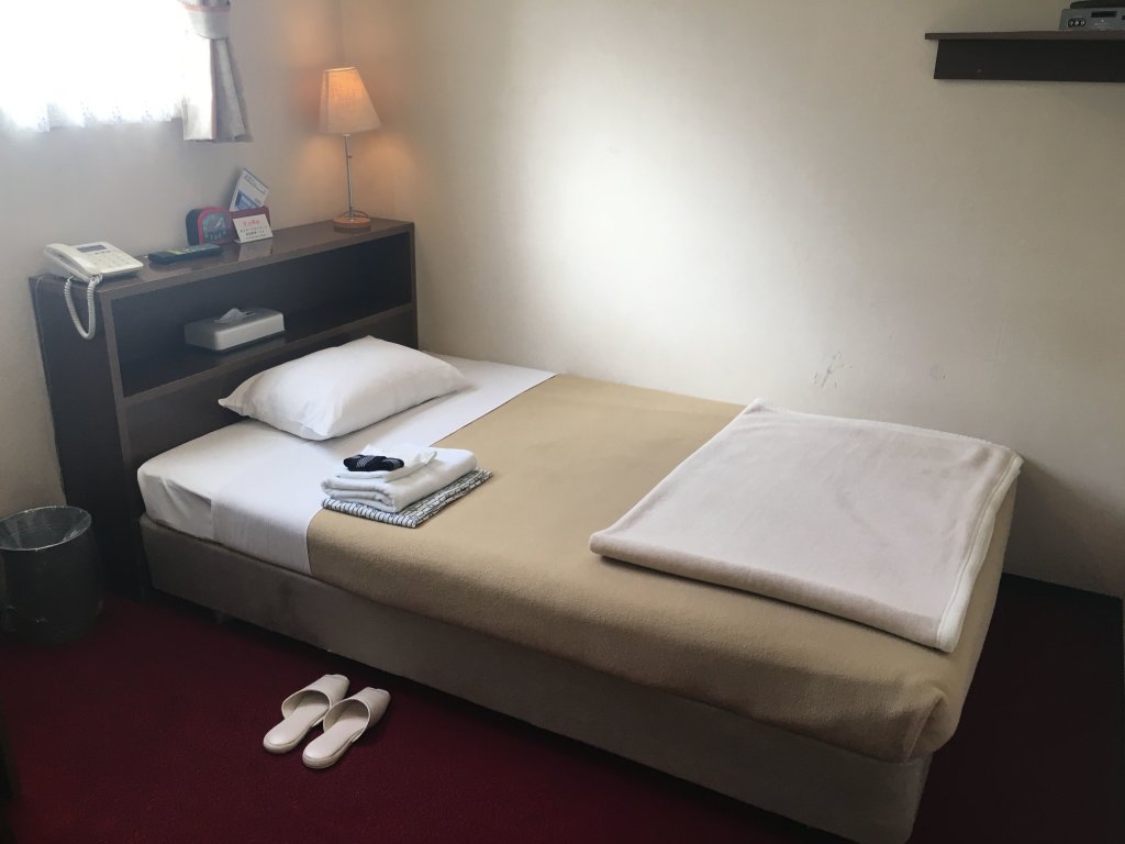 Standard Single room Hotel Yanagibasi - Hostel