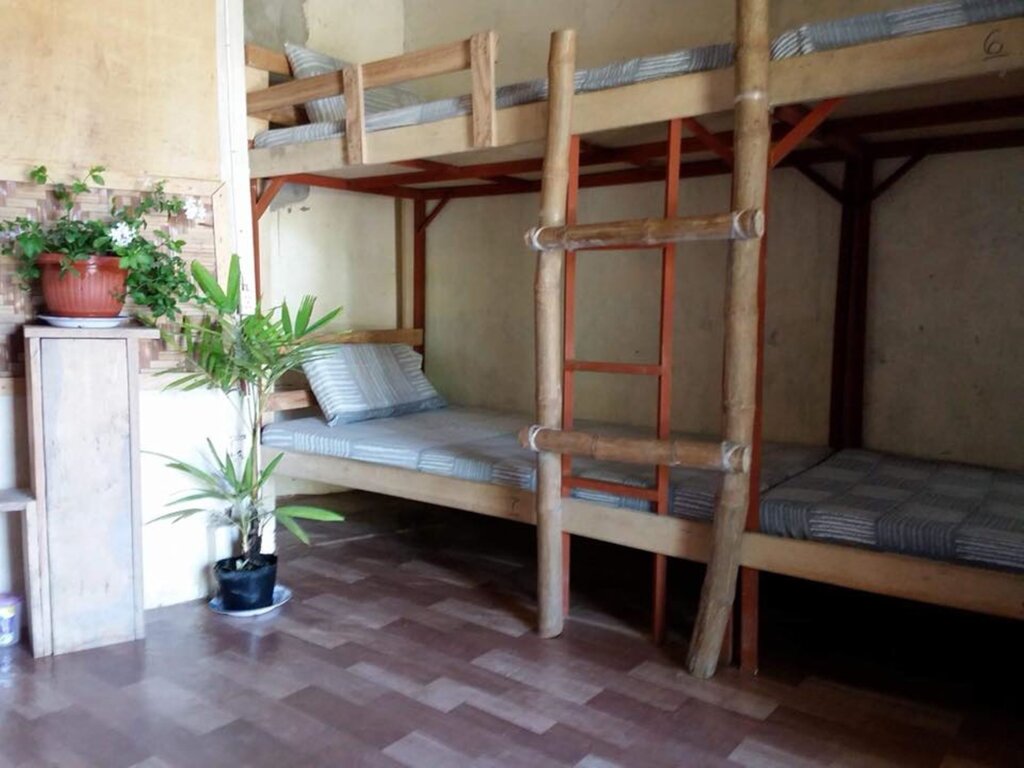 Кровать в общем номере Babu Backpackers inn