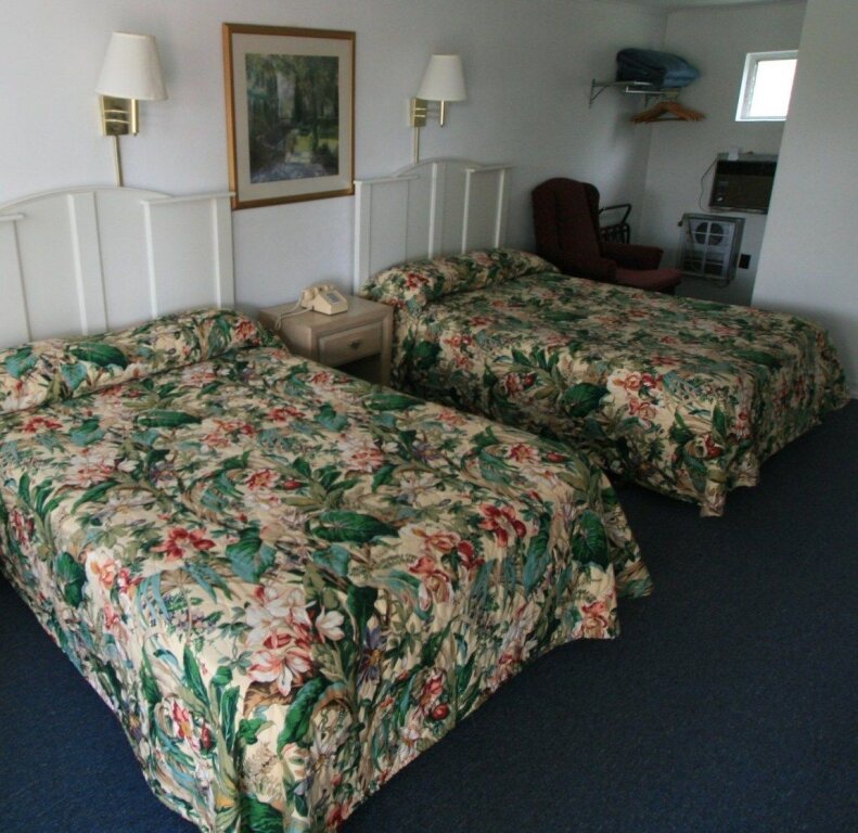 Standard Quadruple room Cabin City Motel