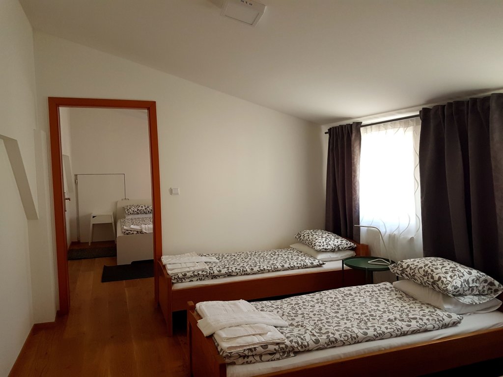 Четырёхместный номер Standard с 2 комнатами Guesthouse Stari Tišler