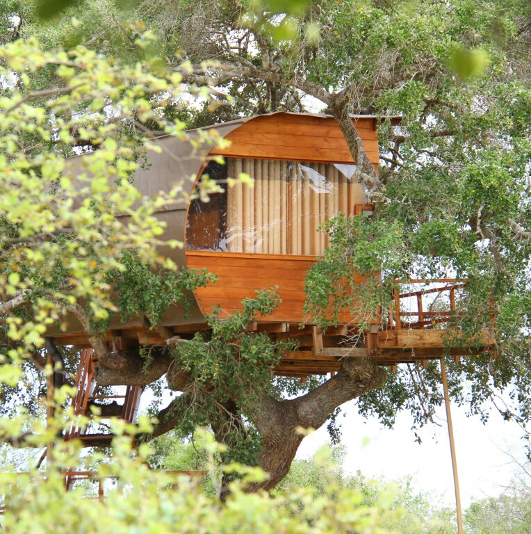Luxus Doppel Hütte mit Blick auf den Park Leopard Nest - Glamping in Yala