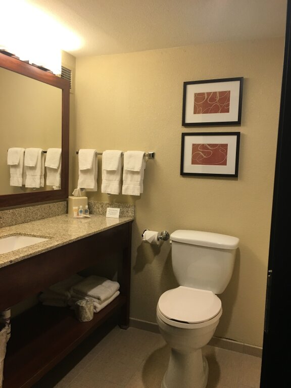 Suite doppia Comfort Suites Near Potomac Mills
