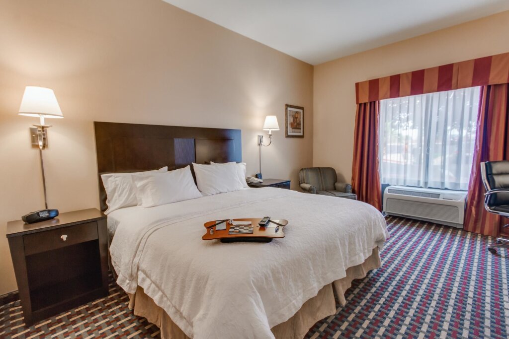 Двухместный номер Deluxe Hampton Inn & Suites Las Cruces I-25