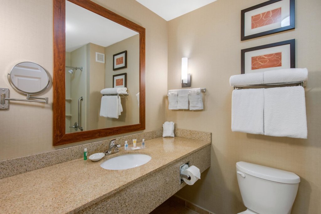 Двухместный люкс Comfort Suites Sarasota-Siesta Key