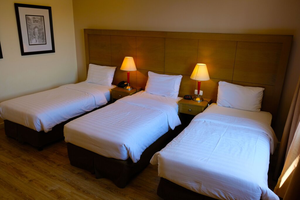 Standard Triple room Ritz Hotel