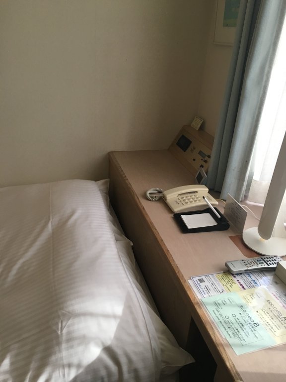 Standard Single room Hotel Sunlite Shinjuku