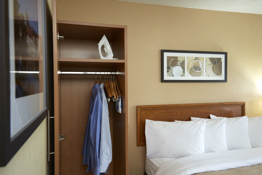 Standard Double Basement room Comfort Inn Waterloo